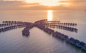 Golden Palm Tree Sepang